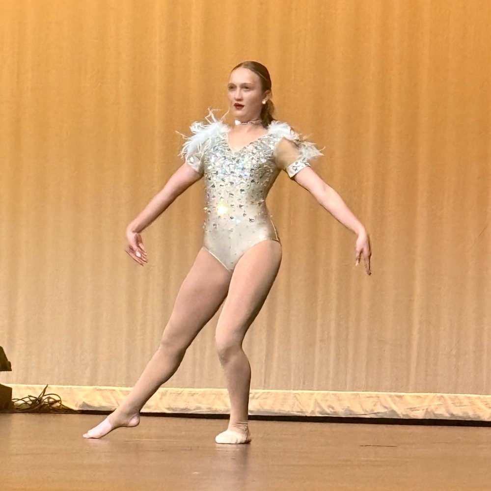 Elegant Silver Dance Leotard